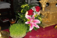 dscn54461111