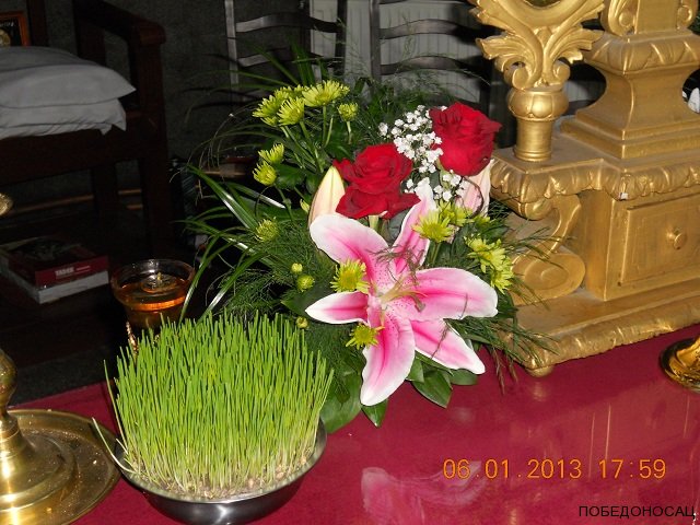 dscn54461111