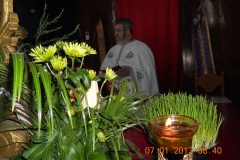 dscn56102222
