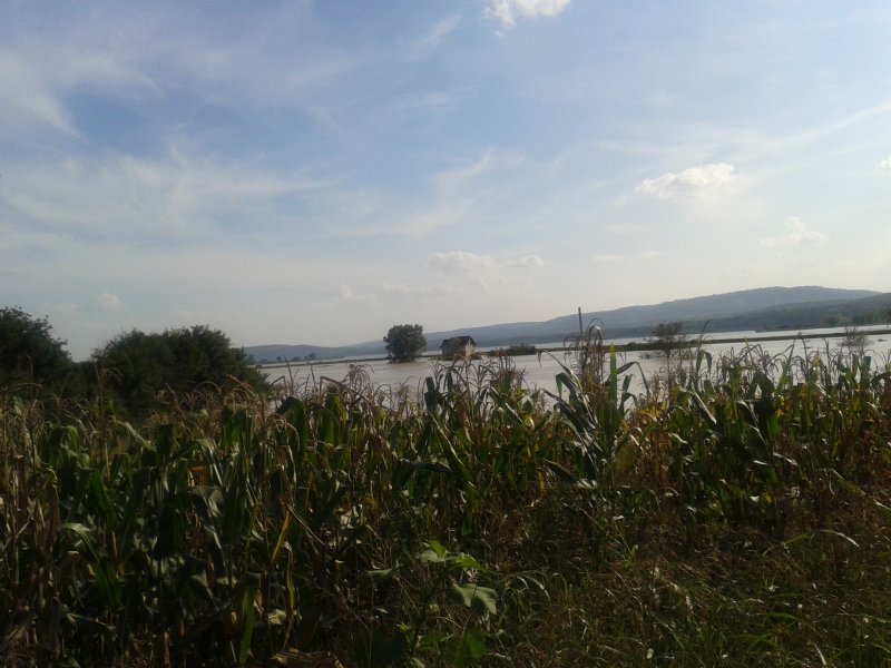 20140918_154922 20140918_154922