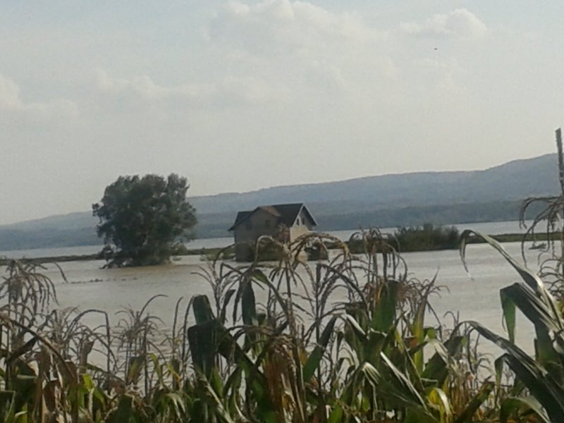 20140918_154930 20140918_154930