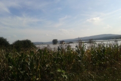 20140918_154922