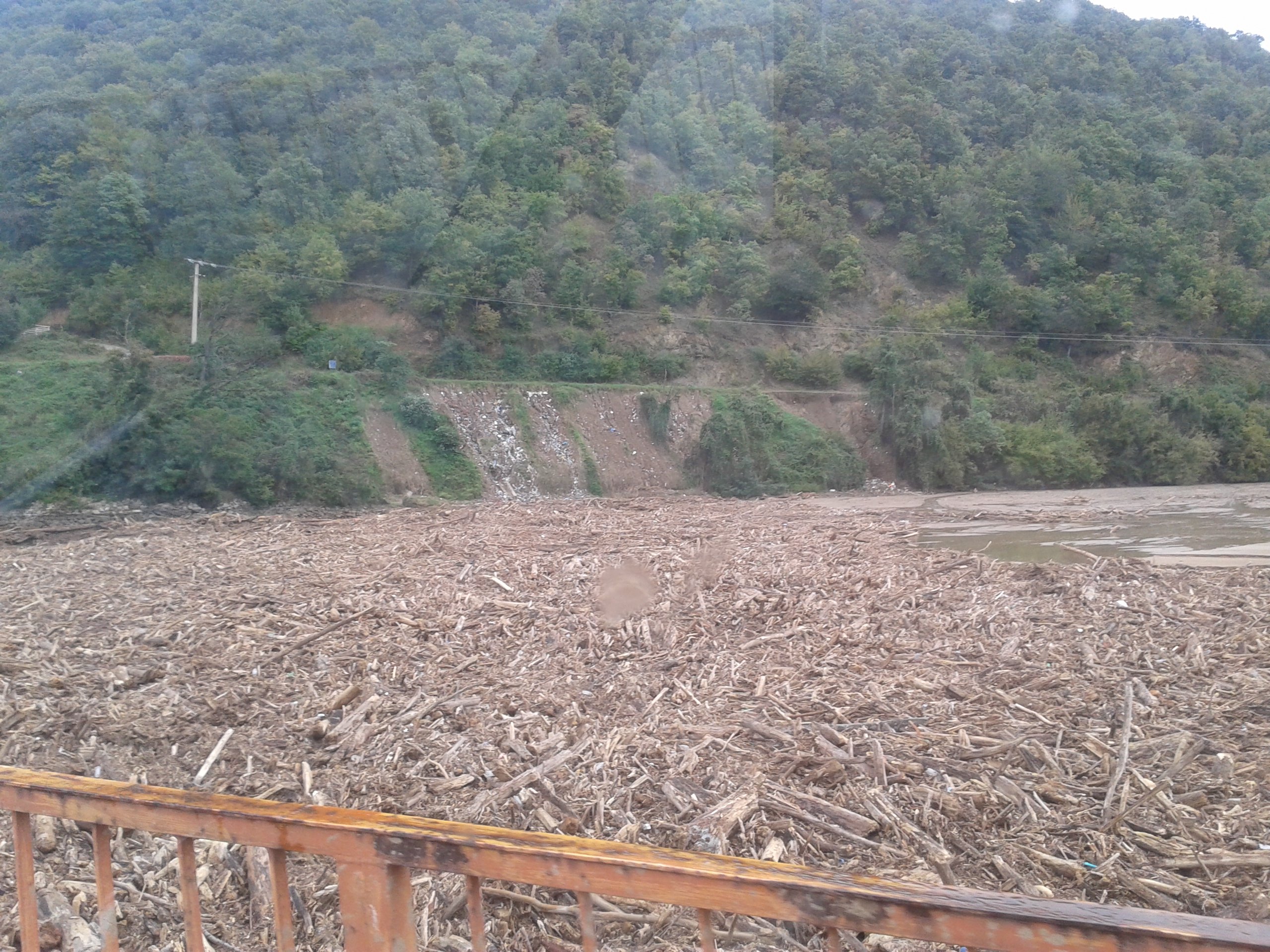 20140922_124504 20140922_124504