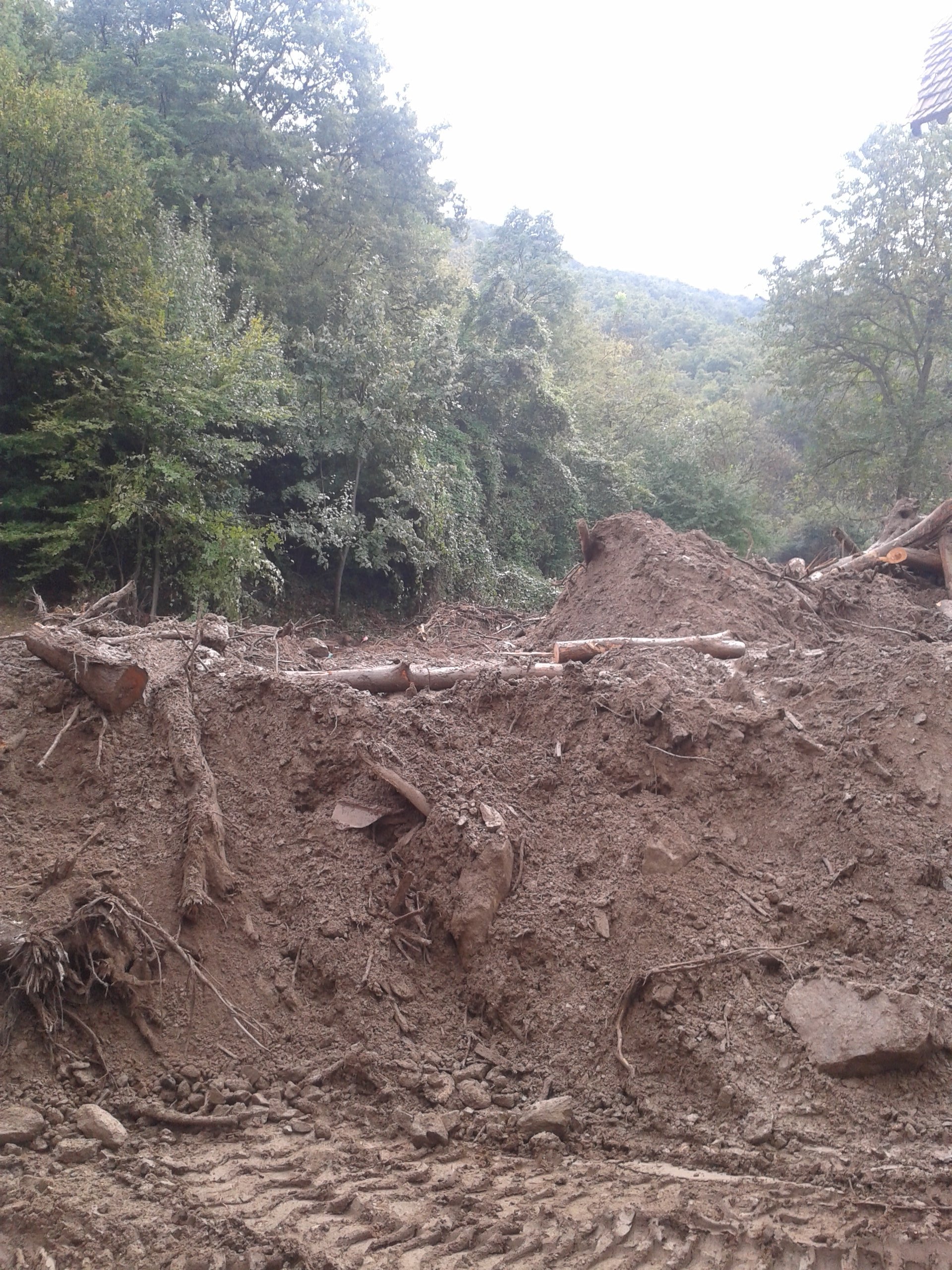 20140922_130125 20140922_130125