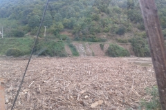 20140922_124501