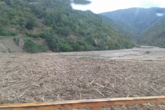 20140922_124510